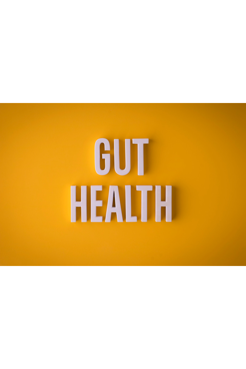 Unlocking the Secrets of Gut Health: Your Path to Metabolic Wellness